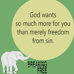 God wants so much more for you than merely freedom from sin.