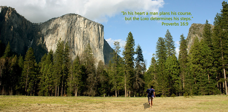 Plans His Course Proverbs 16:9