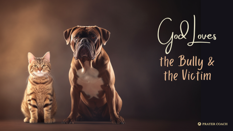 God Loves the Bully Victim