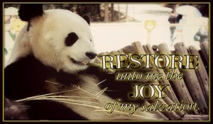 Restore Joy Salvation