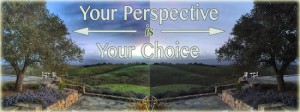 Your Perspective Your Choice