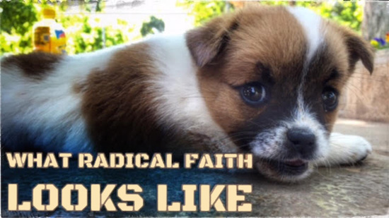 What Radical Faith Looks Like