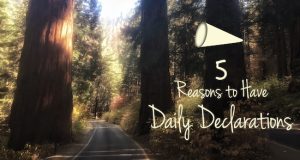 5-reasons-declarations