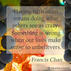 Doing Crazy - Francis Chan