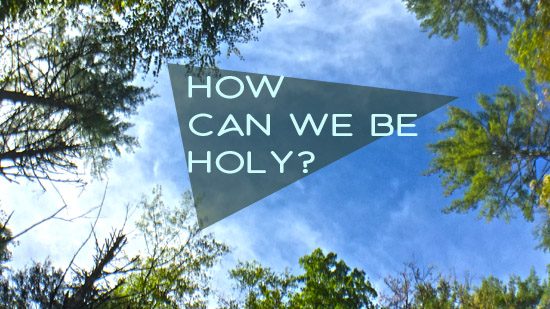 How Can We Be Holy?
