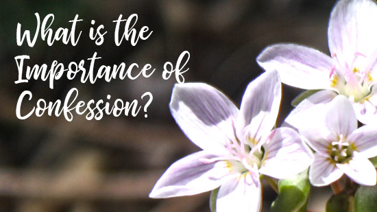 What is the Importance of Confession?