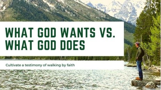 What God Wants - What God Does