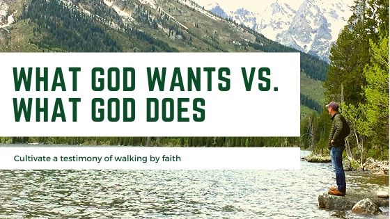 What God Wants - What God Does