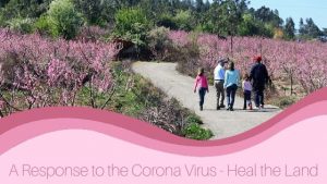 Response to the Corona Virus