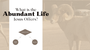 What is the Abundant Life