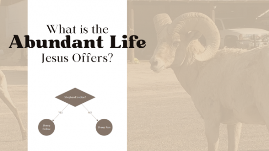 What is the Abundant Life