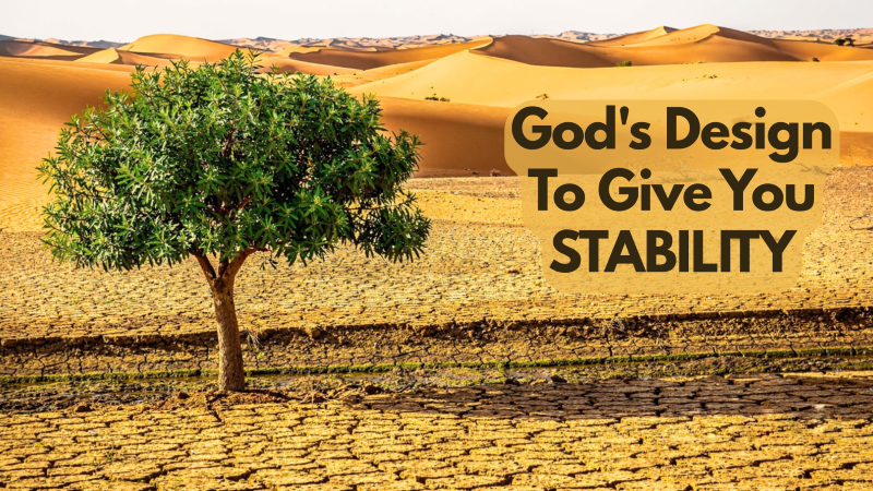 God's Design for Peace